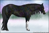 Horse Color:Midnight Black Ice 