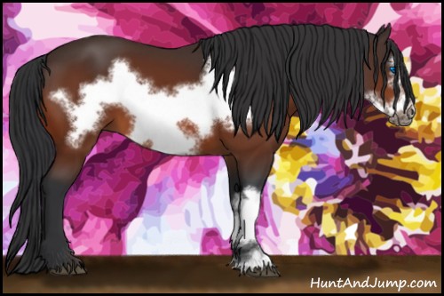 Horse Color:Bay Frame 