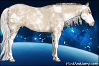 Horse Color:Silver Grullo Pearl Sabino