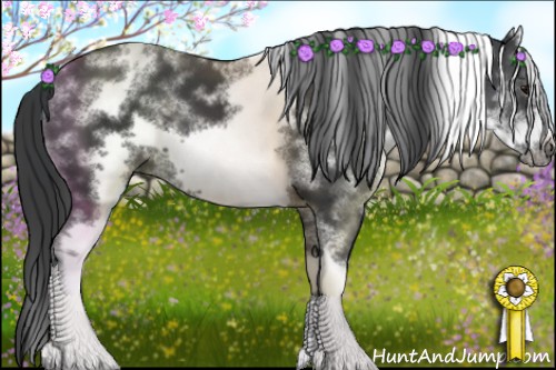 Horse Color:White Spotted Black Frame 