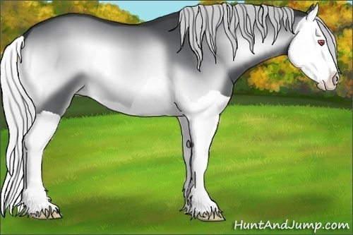 Horse Color:Silver Brown Chinchilla Onyx Splash 