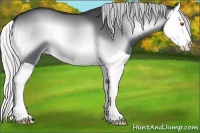 Horse Color:Silver Brown Chinchilla Onyx Splash 