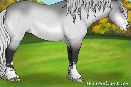 Horse Color:Silver Bay Chinchilla Sabino 