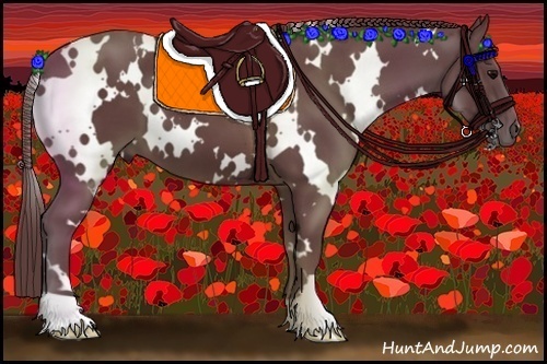 Horse Color:White Spotted Chocolate Black 