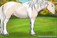 Horse Color:Silver Buckskin Pearl Tobiano 