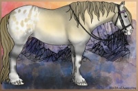 Horse Color:Buckskin Onyx Mushroom Varnish