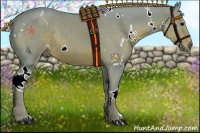 Horse Color:Watercolor White Spotted Silver Black Rabicano 