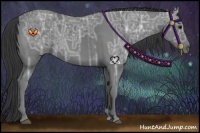 Horse Color:Black Ice 