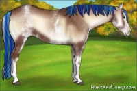 Horse Color:Painted White Spotted Red Onyx Splash Rabicano 