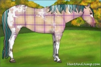 Horse Color:Painted Plaid  Bay Dun Tobiano 