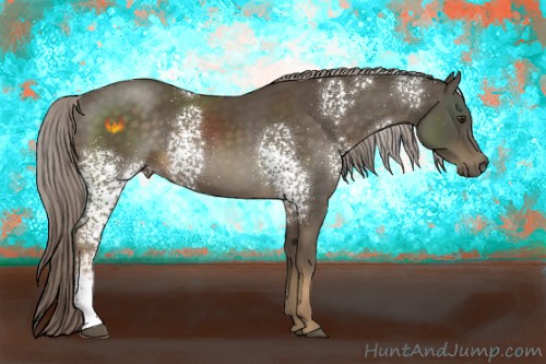 Horse Color:White Spotted Chocolate Palomino 