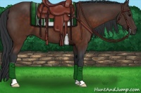 Horse Color:Brown 