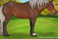 Horse Color:Silver Brown 