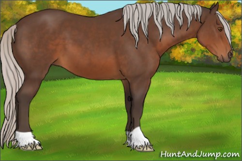 Horse Color:Silver Brown 
