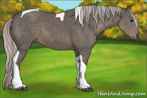 Horse Color:Silver Black Tobiano