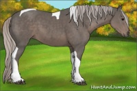 Horse Color:Silver Black Tobiano