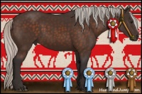 Horse Color:Silver Brown 