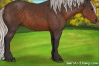 Horse Color:Silver Brown 