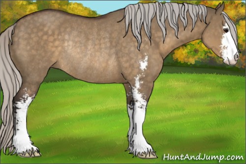 Horse Color:Silver Brown Dun Sabino Rabicano 