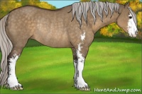 Horse Color:Silver Brown Dun Sabino Rabicano