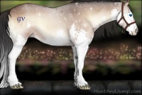 Horse Color:Brown Roan Onyx Splash