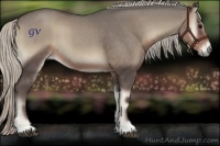 Horse Color:Silver Smoky Blue Onyx 
