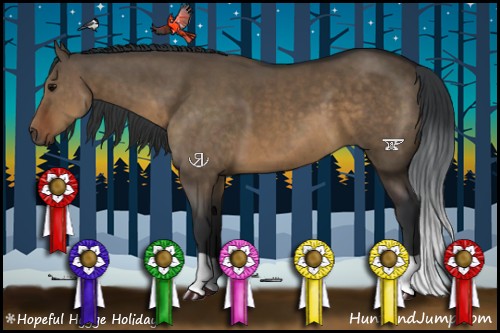 Horse Color:Brown Dun 