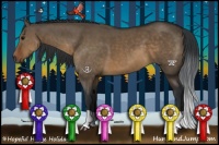 Horse Color:Brown Dun 