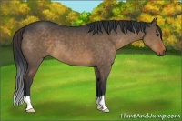 Horse Color:Brown Dun Brindle 