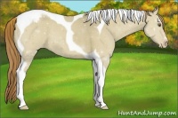 Horse Color:Classic Cream Champagne Dun Tobiano Varnish 