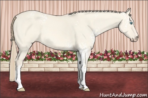 Horse Color:White Spotted Perlino Dun 