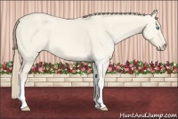 Horse Color:White Spotted Perlino Dun 
