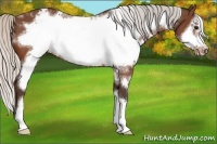 Horse Color:White Spotted Silver Brown Frame Varnish 