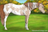 Horse Color:White Spotted Smoky Black Pearl 