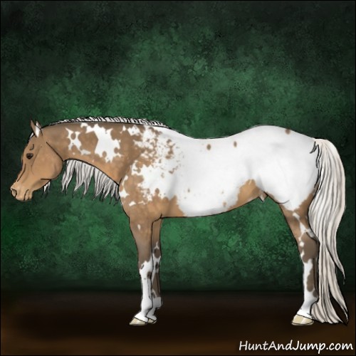 Horse Color:White Spotted Silver Buckskin Snowcap 