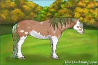 Horse Color:Painted Chestnut Splash 