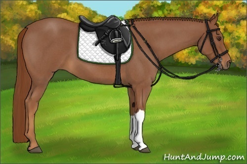 Horse Color:Red Roan 