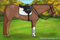 Horse Color:Red Roan 