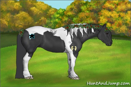 Horse Color:Black Tobiano 