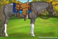 Horse Color:Smoky Black Varnish 
