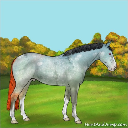 Horse Color:Sable Champagne Chinchilla Ice Dun Sabino Brindle 