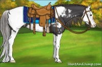 Horse Color:Smoky Black Splash Appaloosa 