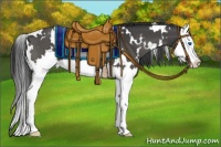 Horse Color:White Spotted Smoky Black Splash 