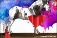Horse Color:Painted Liver Chestnut Splash Tobiano