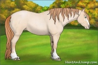 Horse Color:Buckskin Roan Pearl Sabino