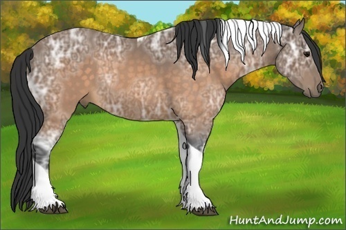Horse Color:Buckskin Ice Tobiano 