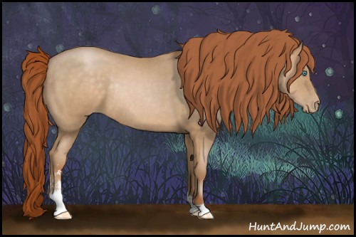 Horse Color:Buckskin Pearl Sabino Rabicano 