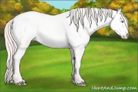 Horse Color:Smoky Creme Dun Rabicano 