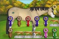 Horse Color:Buckskin Dun Sabino 