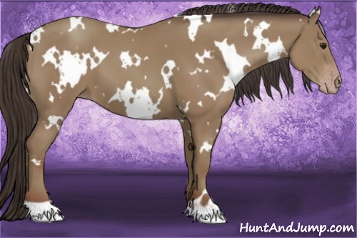 Horse Color:White Spotted Classic Champagne 